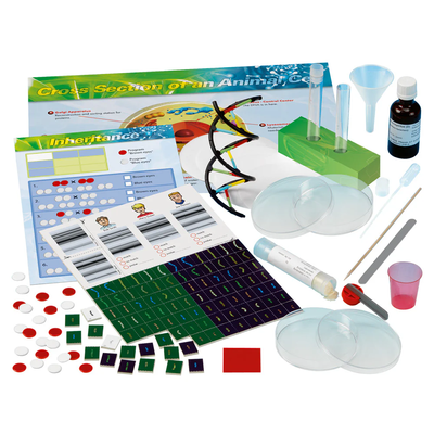 Thames & Kosmos Genetics & DNA :Build a Model, Extract DNA & Solve a Crime Scene Mystery and to  Explore Genetics, DNA, and Heredity, Hands-On Science Learning