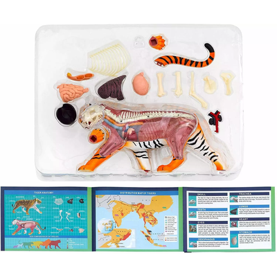 Thames & Kosmos Tiger: Tiger Anatomy Model to Explore the Inner Workings of a Tiger, STEM Learning Kit