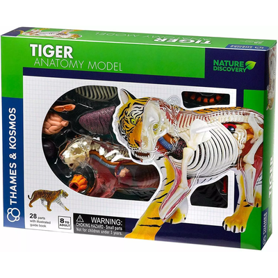 Thames & Kosmos Tiger: Tiger Anatomy Model to Explore the Inner Workings of a Tiger, STEM Learning Kit