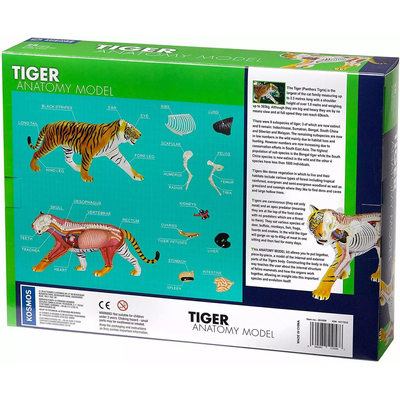 Thames & Kosmos Tiger: Tiger Anatomy Model to Explore the Inner Workings of a Tiger, STEM Learning Kit