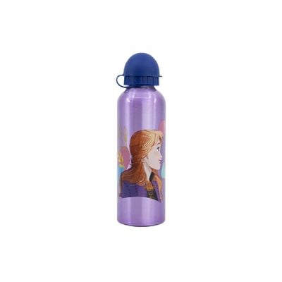 Stor 530ML High Aluminium Bottle 530 Ml Frozen Trust The Journey