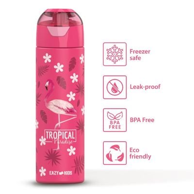 Eazy Kids 6 & 4 Convertible Bento Lunch Box with Stainless Steel 640ml Water Bottle and Sandwich Cutter Set - Tropical Pink