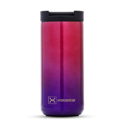 HYDROBREW Double Wall Insulated Tumbler Water Bottle - Chrome, 500ml