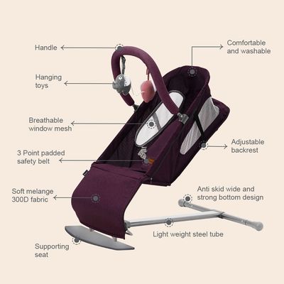 TEKNUM Baby Bouncer w/ Grab Toys - Purple