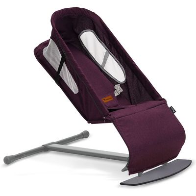 TEKNUM Baby Bouncer w/ Grab Toys - Purple