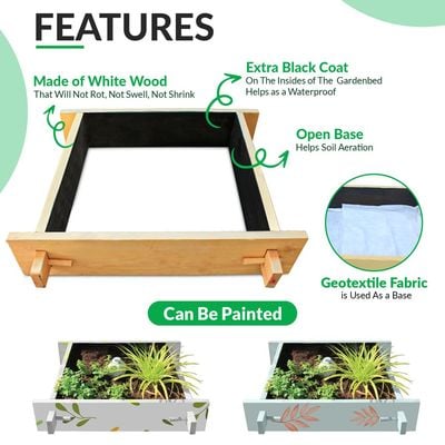 Explorer Gardenbed - 3 feet x 3 feet x 23 cm, Wooden planter bed for home gardening, starter kit to grow flowers, herbs, vegetables, root veggies.