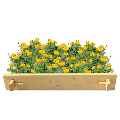 Rancher Greencorner Gardenbed -  4 feet x 2 feet x 23 cm, Wooden planter bed for home gardening, starter kit to grow flowers, herbs, vegetables, root veggies.