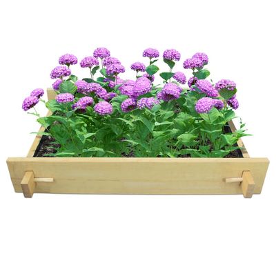 Rancher Explorer Gardenbed - 4 feet x 3 feet x 23 cm, Wooden planter bed for home gardening, starter kit to grow flowers, herbs, vegetables, root veggies.