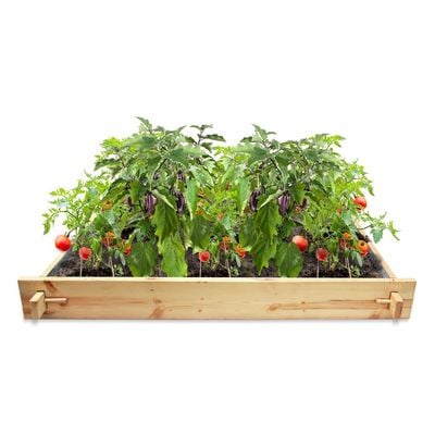 Yardlong Gardenbed - 5 feet x 5 feet x 23 cm, Wooden planter bed for home gardening, starter kit to grow flowers, herbs, vegetables, root veggies.