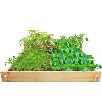 Parkpatch Gardenbed - 6 feet x 6 feet x 23 cm, Wooden planter bed for home gardening, starter kit to grow flowers, herbs, vegetables, root veggies.