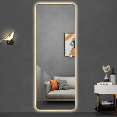 Blush Decorative Mirror Size 120cm*60cm