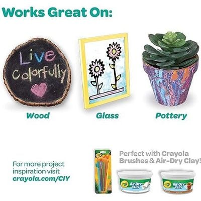 Crayola 6 Ct. Acrylic 2-oz. Paint Set