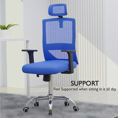 Mahmayi TJ HY-902 Medium Back Mesh Office chair with Lumbar Support with Headrest Blue