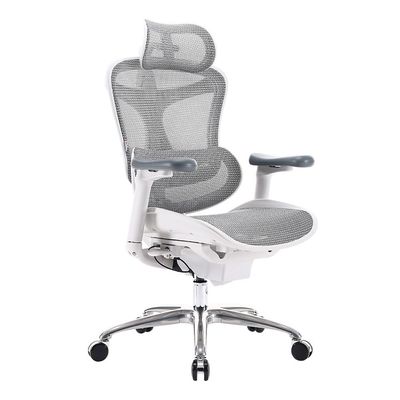 Sihoo High Back Ergonomic Mesh Chair with 3D Adjustable Headrest, Elbow Support, Lumbar Support, Flexible Backrest, Reclining Chair Ideal for Home and Office