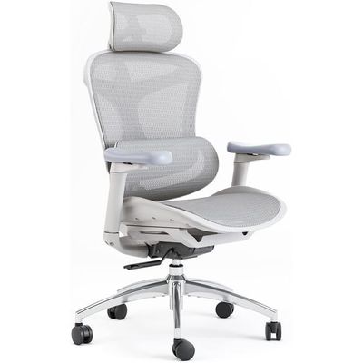 Mahmayi High Back Ergonomic Mesh Chair with 3D Adjustable Headrest, Elbow Support, Lumbar Support, Flexible Backrest, Reclining Chair Ideal for Home and Office - Light Grey