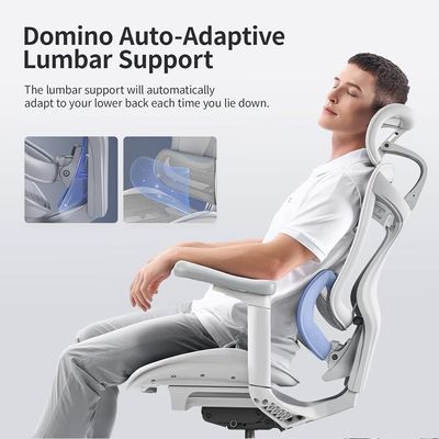 Mahmayi High Back Ergonomic Mesh Chair with 3D Adjustable Headrest, Elbow Support, Lumbar Support, Flexible Backrest, Reclining Chair Ideal for Home and Office - Light Grey