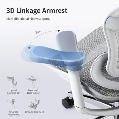 Mahmayi High Back Ergonomic Mesh Chair with 3D Adjustable Headrest, Elbow Support, Lumbar Support, Flexible Backrest, Reclining Chair Ideal for Home and Office - Light Grey