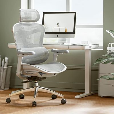 Sihoo High Back Ergonomic Mesh Chair with 3D Adjustable Headrest, Elbow Support, Lumbar Support, Flexible Backrest, Reclining Chair Ideal for Home and Office