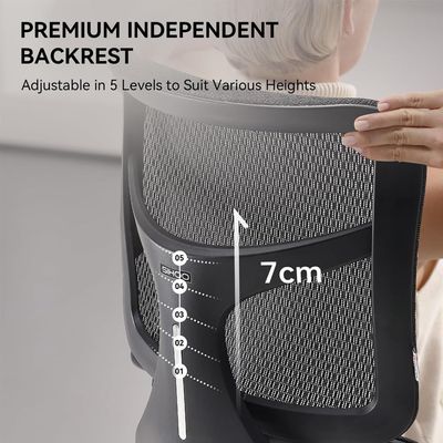 Sihoo High Back Mesh Chair with Footrest, Dual Dynamic Lumbar Support, 4D Coordinated Armrests, Adjustable Backrest, Reclining Chair Ideal for Home and Office