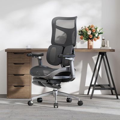 Office Chairs