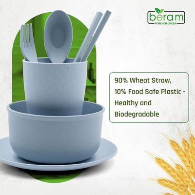 Wheat Straw 6 Pieces Dinner Set Blue