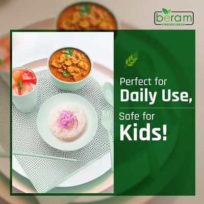 Wheat Straw 6 Pieces Dinner Set Green