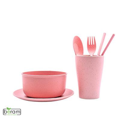 Wheat Straw 6 Pieces Dinner Set