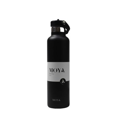 Stainless Steel Bottle