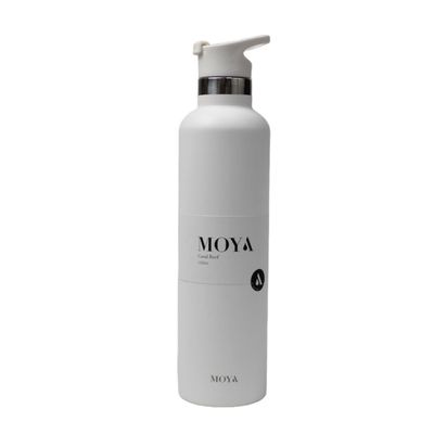 Stainless Steel Bottle