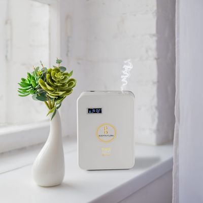 SCENTA FLORA - SCENT ECONO - Economical App-Controlled Aromatherapy Scent Diffuser (White)