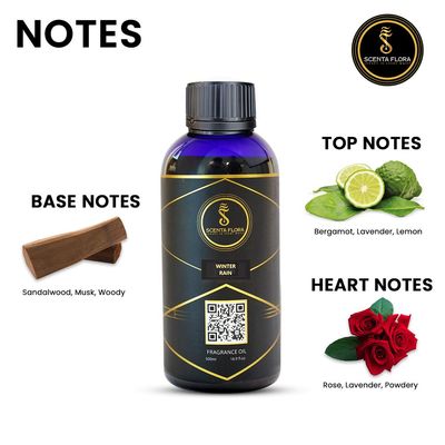 WINTER RAIN - Diffuser Aroma Oil - Soothing, Healing, and Relaxing Fragrance for Scent Diffusers - Aromatherapy (500 ml)