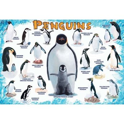 Penguins 100 Pieces Puzzle