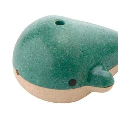 Whale Whistle