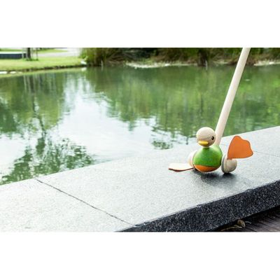 Push Along Duck Push Along Duck