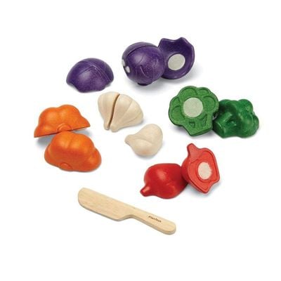 5 Colors Veggie Set