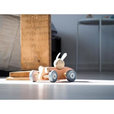 Bunny Racing Car