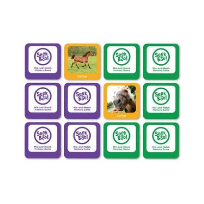 Seek A Boo!:  Mix-And-Match Memory Game