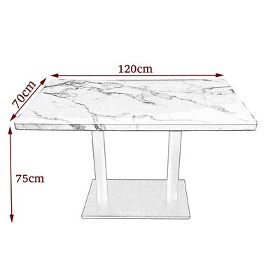 
Maple Home Modern Dining Table Coffee Shop Table Accent Faux Marble Top Metal Base Kitchen Bar Patio Living Dining Furniture (White, Marble 70 * 120)