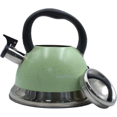 Dotted Whistling Kettle with Silver Gradient Green -  3.5 Liters