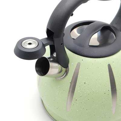 Dotted Whistling Kettle with Silver Stripes Green - 3 Liters