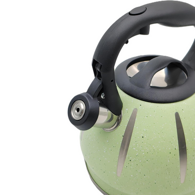 Dotted Whistling Kettle with Silver Stripes Green - 3 Liters