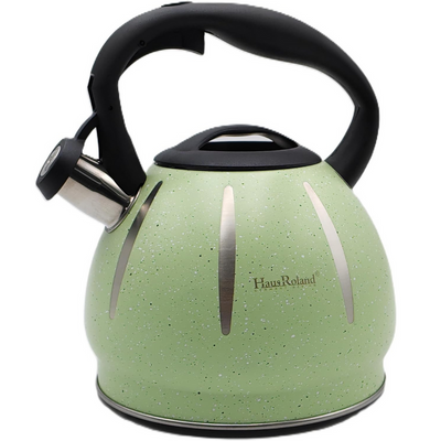 Dotted Whistling Kettle with Silver Stripes Green - 3 Liters