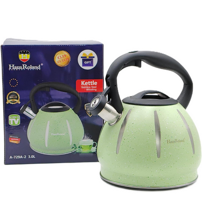 Dotted Whistling Kettle with Silver Stripes Green - 3 Liters