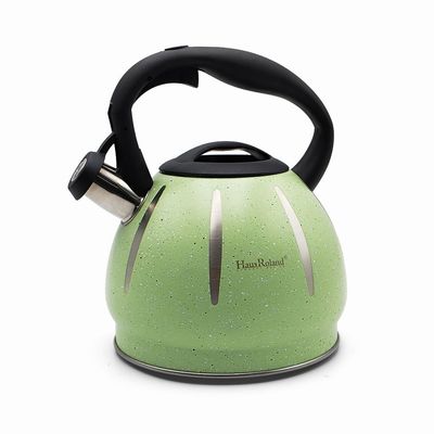 Dotted Whistling Kettle with Silver Stripes Green - 3 Liters