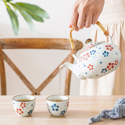 Multicolour Ceramic Tea Pot Set