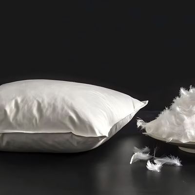 MAXQON Set of 2-Feather Bed Pillow Luxurious Comfort with Goose Feather and 100% Cotton Fabric, (White, Size 50x70 CM)