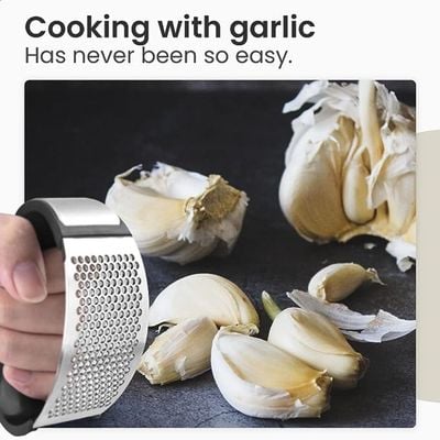 Stainless Steel Hand Garlic Crusher With Curved Handle