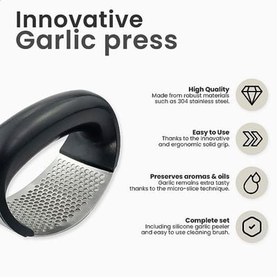 Stainless Steel Hand Garlic Crusher With Curved Handle