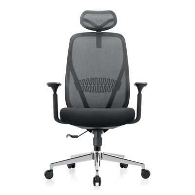 Skyland Executive Chair CH 160 black