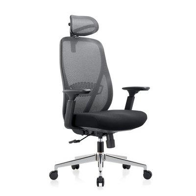 Skyland Executive Chair CH 160 black